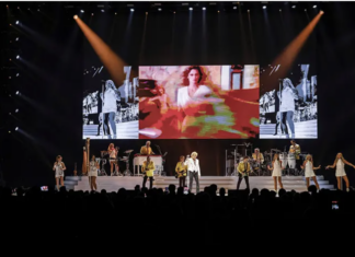 Steward cancela gira por problemas de salud